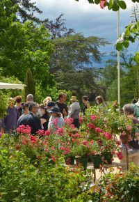 FETE DES PLANTES