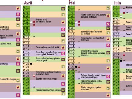 Calendrier lunaire du printemps 2012