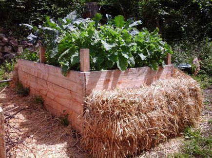 AU JARDIN  Un jardin de permaculture à Blanlhac