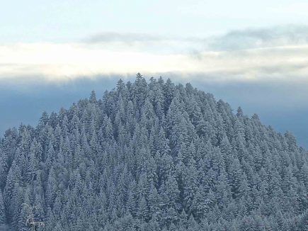 Dilemme – Edito N47 hiver 2019