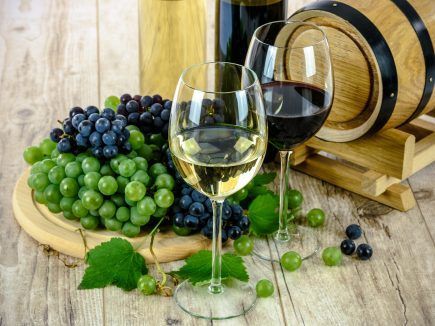 Les vins en biodynamie, un travail dans la vigne