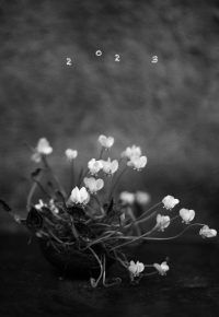 Jubilons ! Edition 3