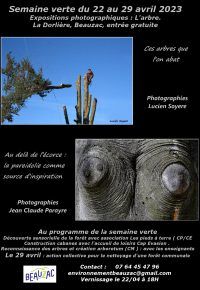 Expositions photographiques sur le Thème de l&rsquo;arbre
