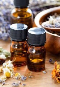 Atelier plantes médicinales et médecine chinoise