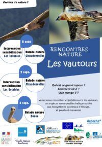 ANIMATIONS VAUTOURS
