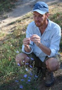 Balade à la découverte des plantes sauvages