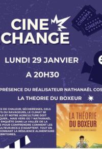 La théorie du boxeur
