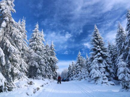 Balade en NEIGE
