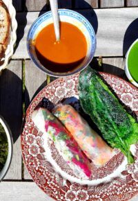 Cueillette et apéro plantes sauvages au château d&rsquo;Artias (Retournac, Haute-Loire)