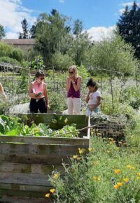 Yoga et botanique au jardin Mirandou
