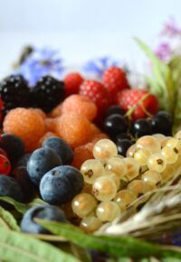 Balade gourmande au pays des fruits rouges