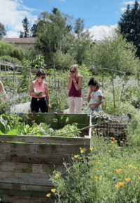 Programme du mois de juin Plantes Sauvages