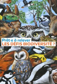 PROGRAMME COQ&rsquo;LICOTS 2024