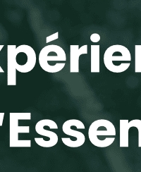 L&rsquo;expérience Ân&rsquo;Essence : l&rsquo;alliance entre la médiation animale et les huiles essentielles