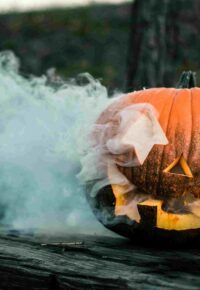 ATELIER NATURE ENFANTS  « Sorcières des Bois et autres monstres gentils »