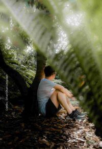 BALADE IMMERSION NATURE ADULTES « A la rencontre des arbres, A la rencontre de soi »