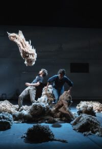 Compagnie Dernière Baleines à Langogne !