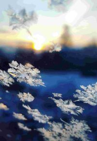 ATELIER NATURE ENFANTS « La forêt Terre de Jeux en hiver »