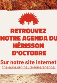 L&rsquo;agenda FNE 43 2024