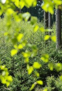 présentation du Plan national d&rsquo;adaptation au changement climatique