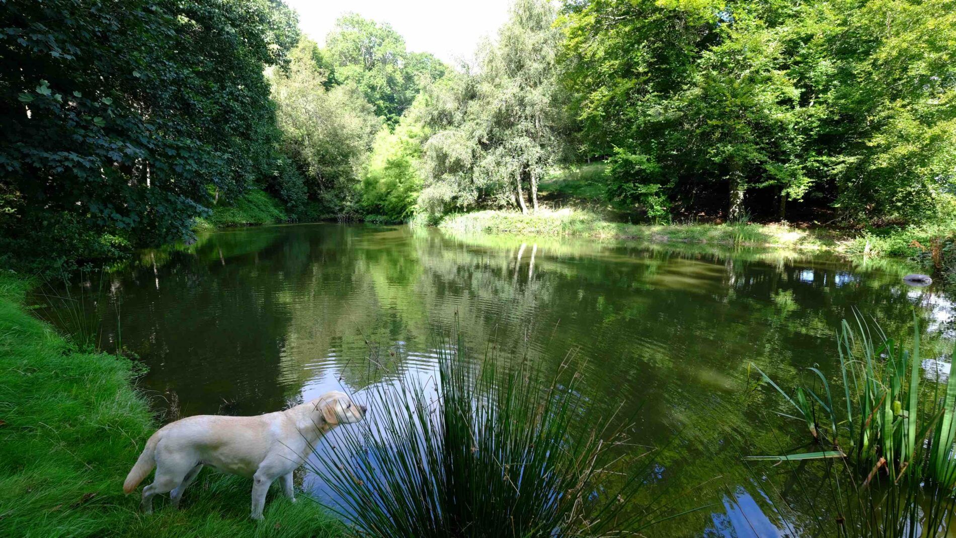 parc du figon