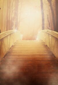 Formation Maîtrise Reiki LaHoChi à Yssingeaux !