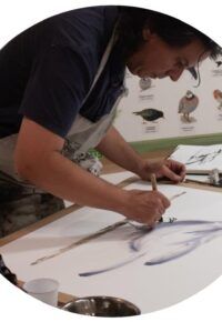 Démonstration d’aquarelle et lecture en musique pour l&rsquo;inauguration de l’exposition « Cheminer avec l&rsquo;arbre »