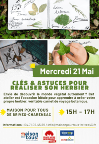 Clés et astuces pour réaliser son Herbier