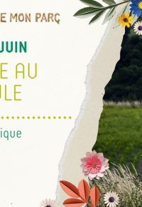 La nature au crépuscule