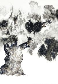 Exposition « Cheminer avec l&rsquo;arbre », aquarelles de Franck ROLLIER, accompagnés des textes de Bernard FARINELLI