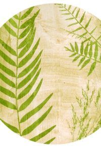 Atelier « Anthotype »