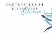 L&rsquo;association de danse Sauterelles et Libellules à besoin de vous !
