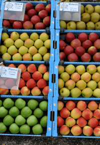 Fête de la pomme à Pélussin (42)