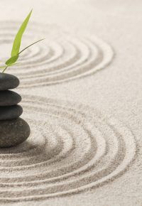 Salon – Arzon Zen
