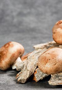 Foire aux champignons – St Bonnet-le-froid