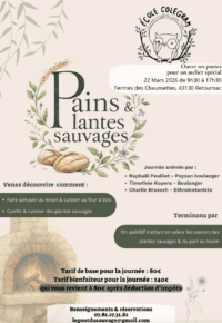 Atelier pain et plantes sauvages
