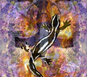 Horoscope hiver 2025/2026