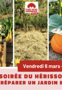 Soirée du hérisson « Préparer un jardin bio