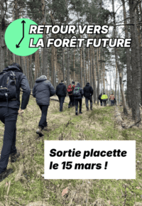 Inventaire forestier au Meygal « Retour vers la forêt future »