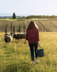 de ferme en ferme – edition 2026