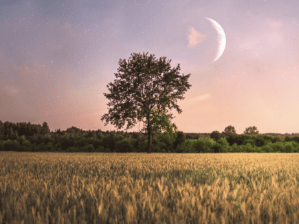 Calendrier lunaire – printemps 2026