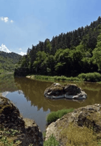 Journée « la vie en bords de Loire : faune, flore, histoire… »