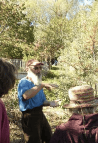 Mensuelle forêt vivrière
