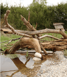 Une mare dans mon jardin