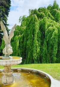 Visite du parc du Château de Chazelles à Saint-André-de-Chalencon