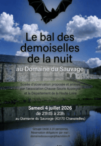 LE BAL DES DEMOISELLES DE LA NUIT