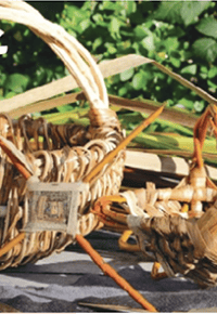Sortie nature : des grenouilles, des joncs et des paniers…