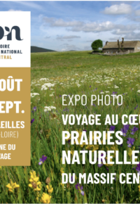 PRAIRIES DU MASSIF CENTRAL