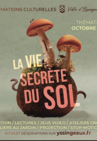 DECOUVRIR LA VIE SECRETE DU SOL