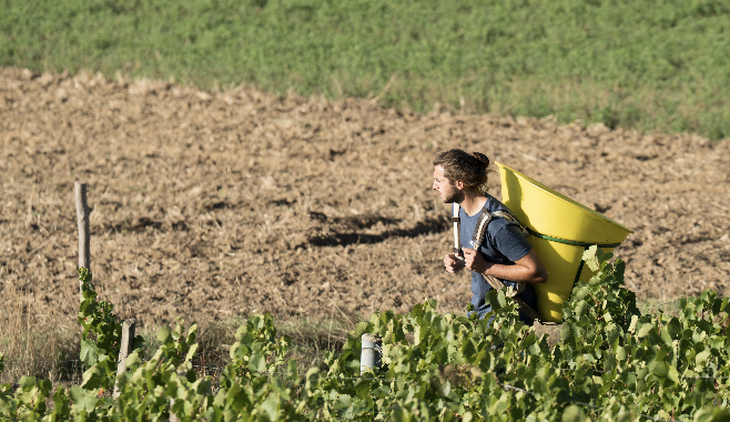 Maxime du domaine d'Auvat